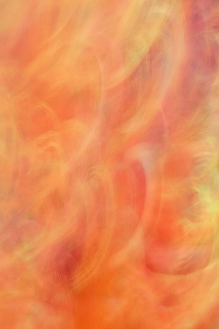  Movement 2024:359 (2024) C-print on wood panel, 60"x40" 