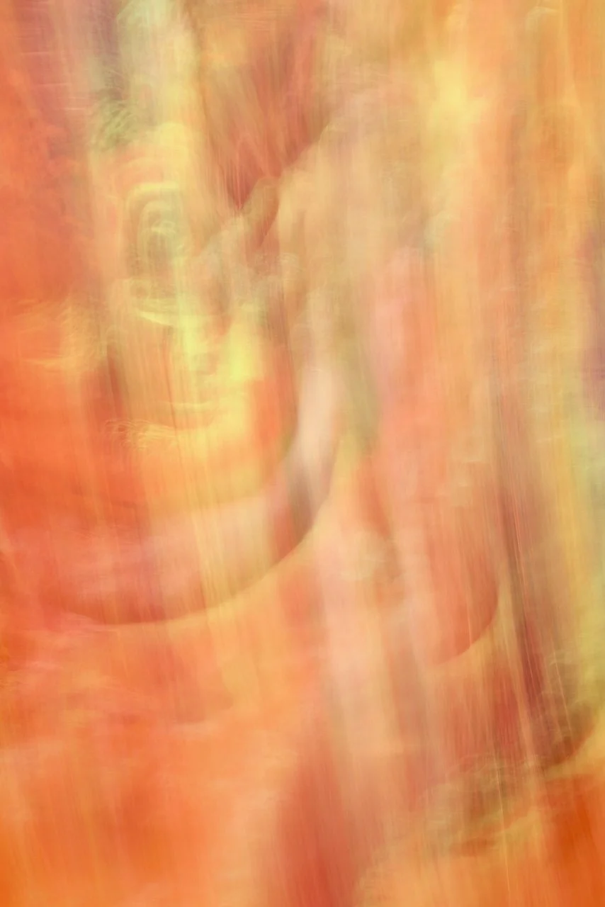  Movement 2024:360 (2024) C-print on wood panel, 60"x40" 