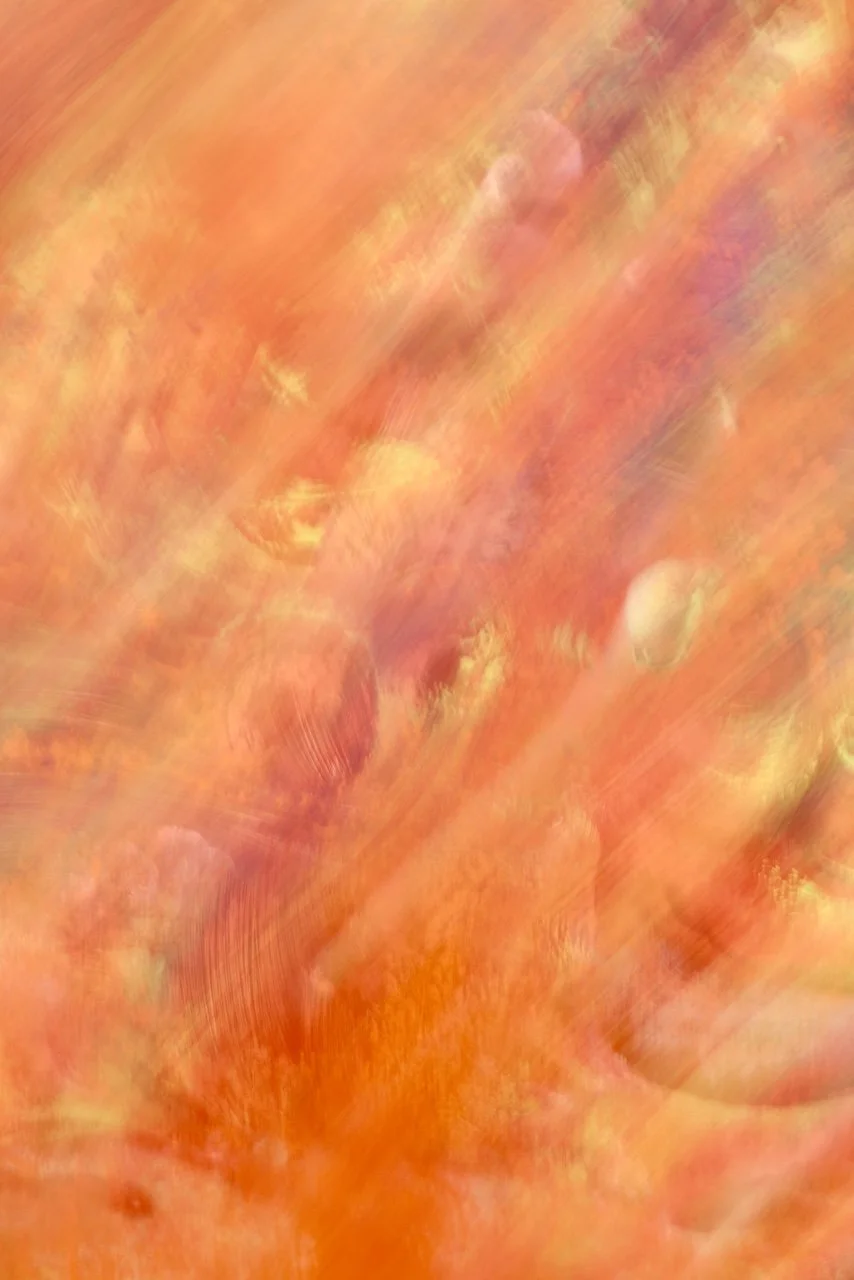  Movement 2024:361 (2024) C-print on wood panel, 60"x40" 