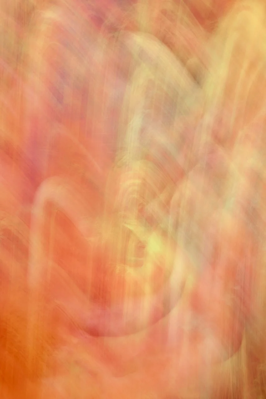  Movement 2024:362 (2024) C-print on wood panel, 60"x40" 