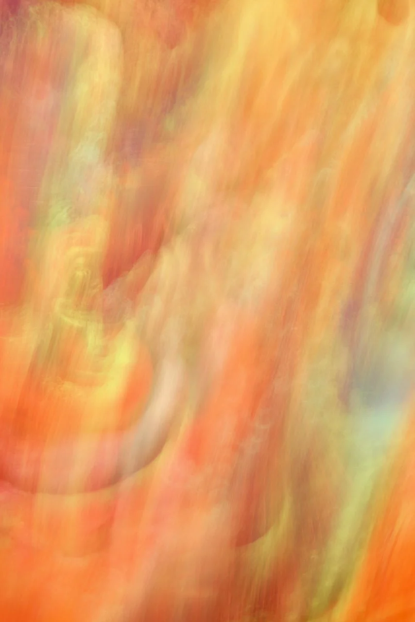  Movement 2024:363 (2024) C-print on wood panel, 60"x40" 