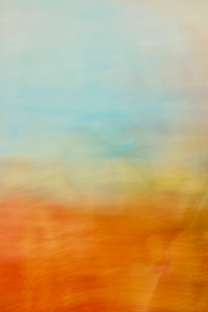  Movement 2024:364 (2024) C-print on wood panel, 60"x40" 