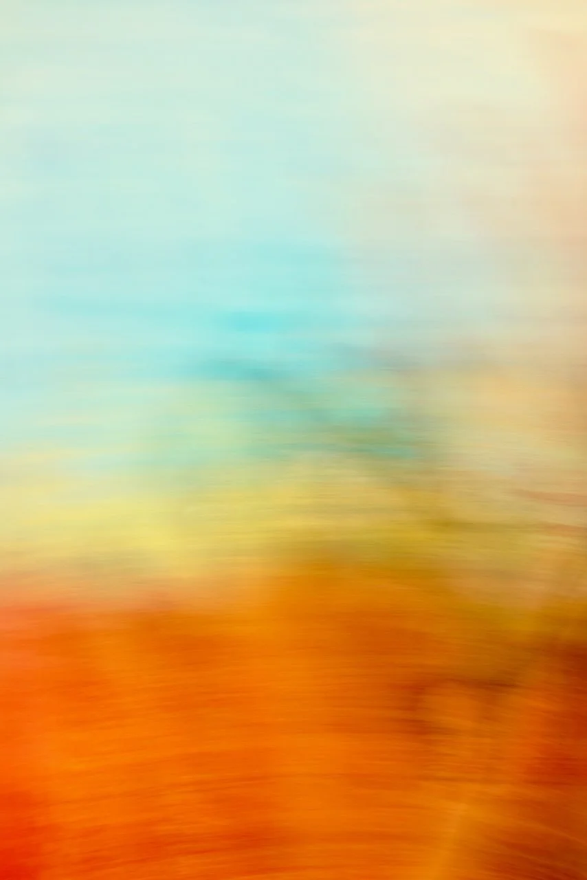  Movement 2024:365 (2024) C-print on wood panel, 60"x40" 