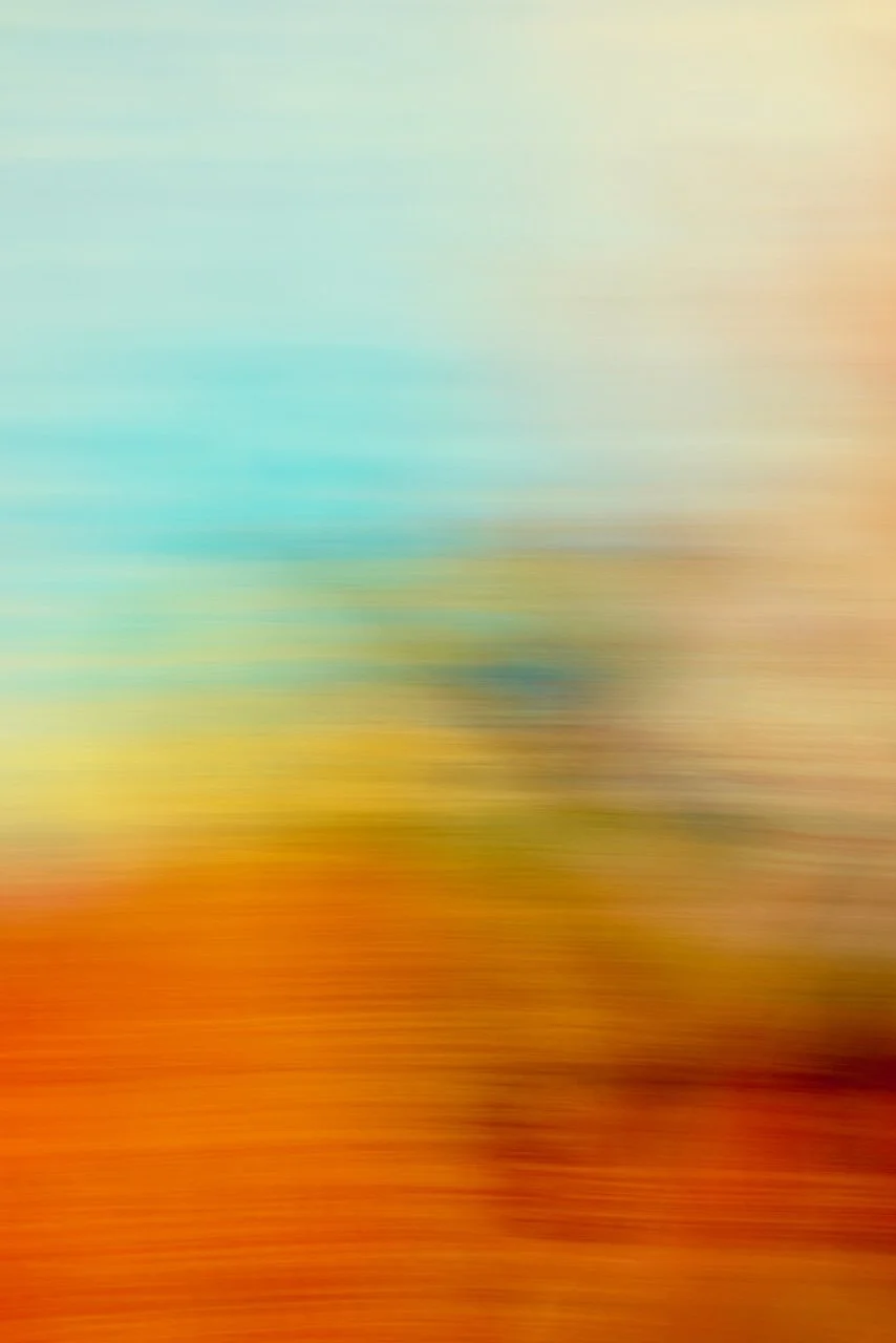  Movement 2024:366 (2024) C-print on wood panel, 60"x40" 