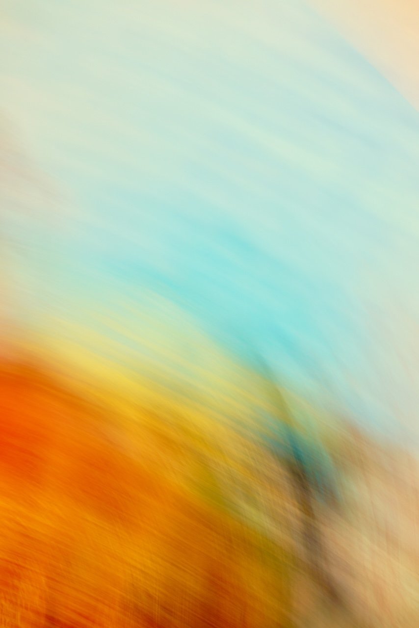  Movement 2024:367 (2024) C-print on wood panel, 60"x40" 