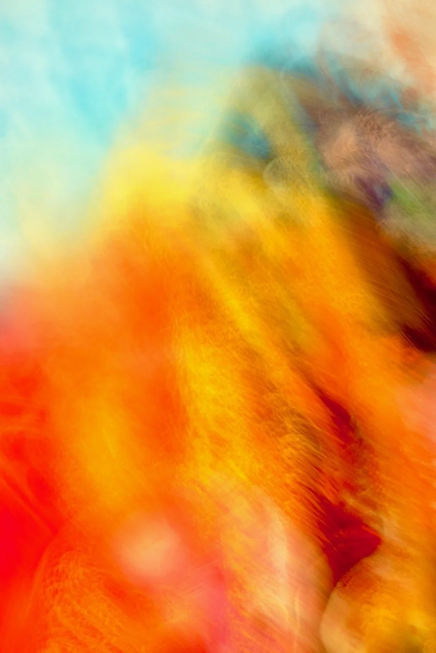  Movement 2024:368 (2024) C-print on wood panel, 60"x40" 