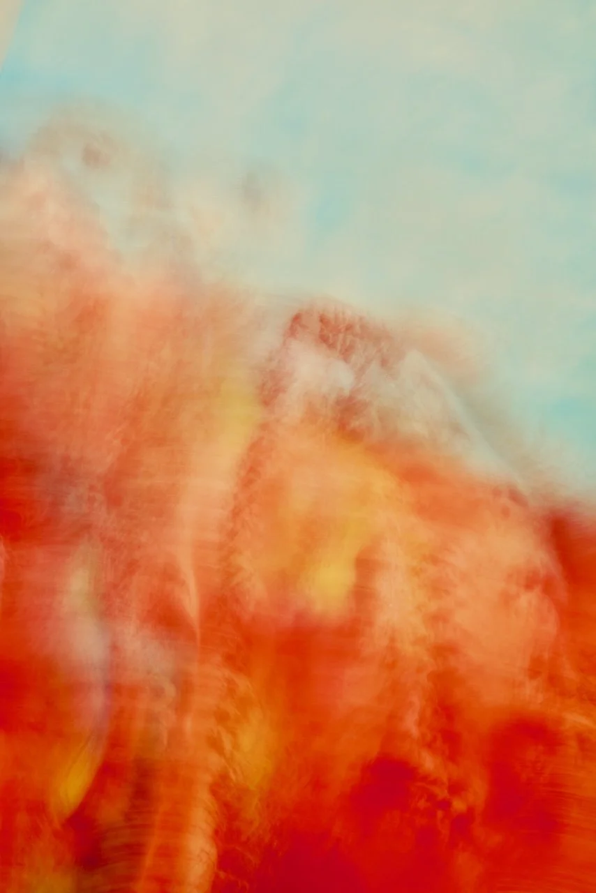  Movement 2024:369 (2024) C-print on wood panel, 60"x40" 