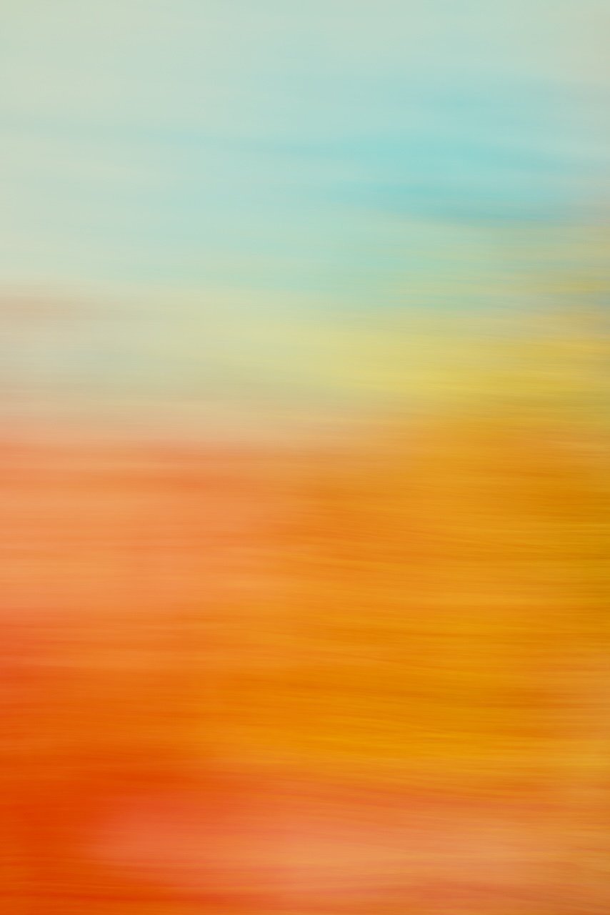  Movement 2024:370 (2024) C-print on wood panel, 60"x40" 