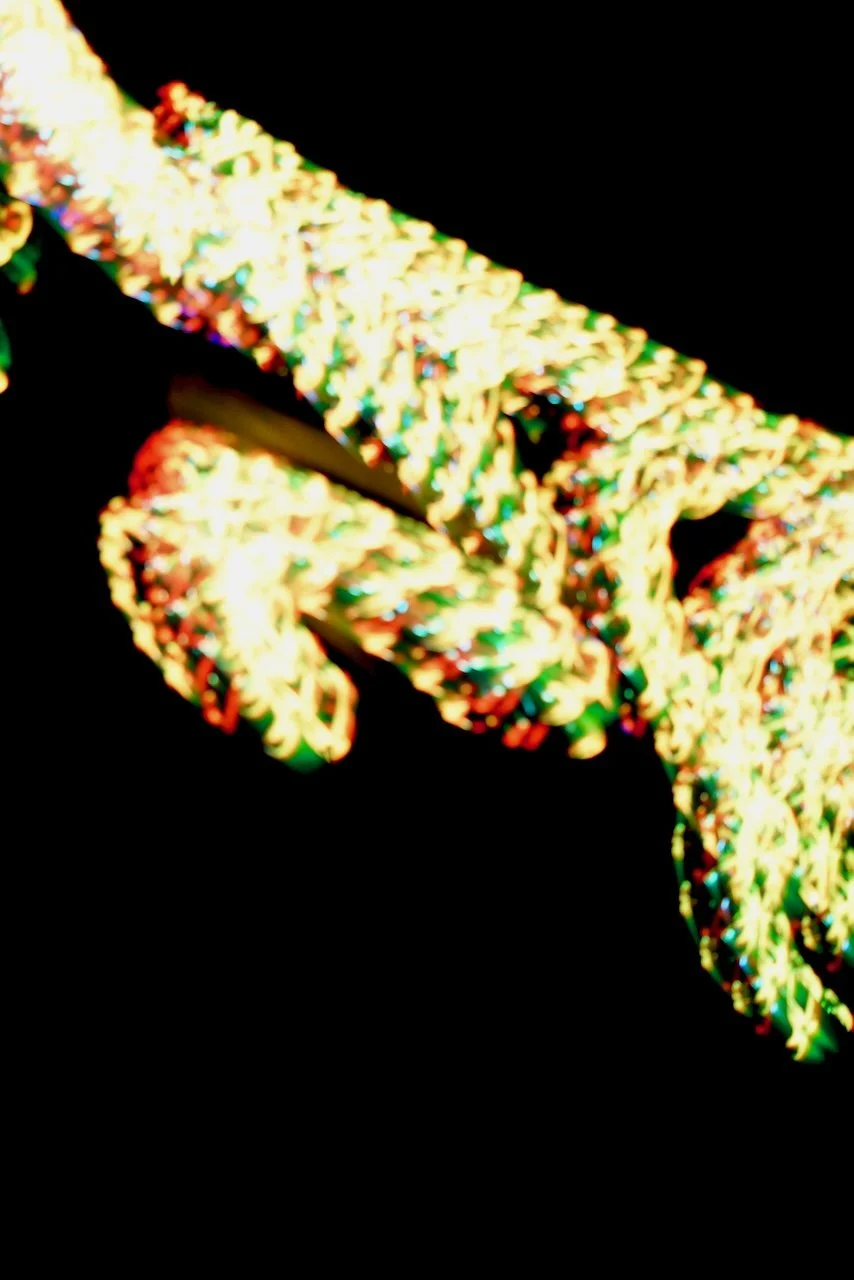  Movement 2024:375 (2024) C-print on wood panel, 60"x40" 