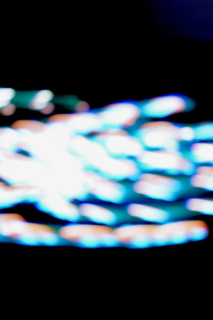  Movement 2024:379 (2024) C-print on wood panel, 60"x40" 