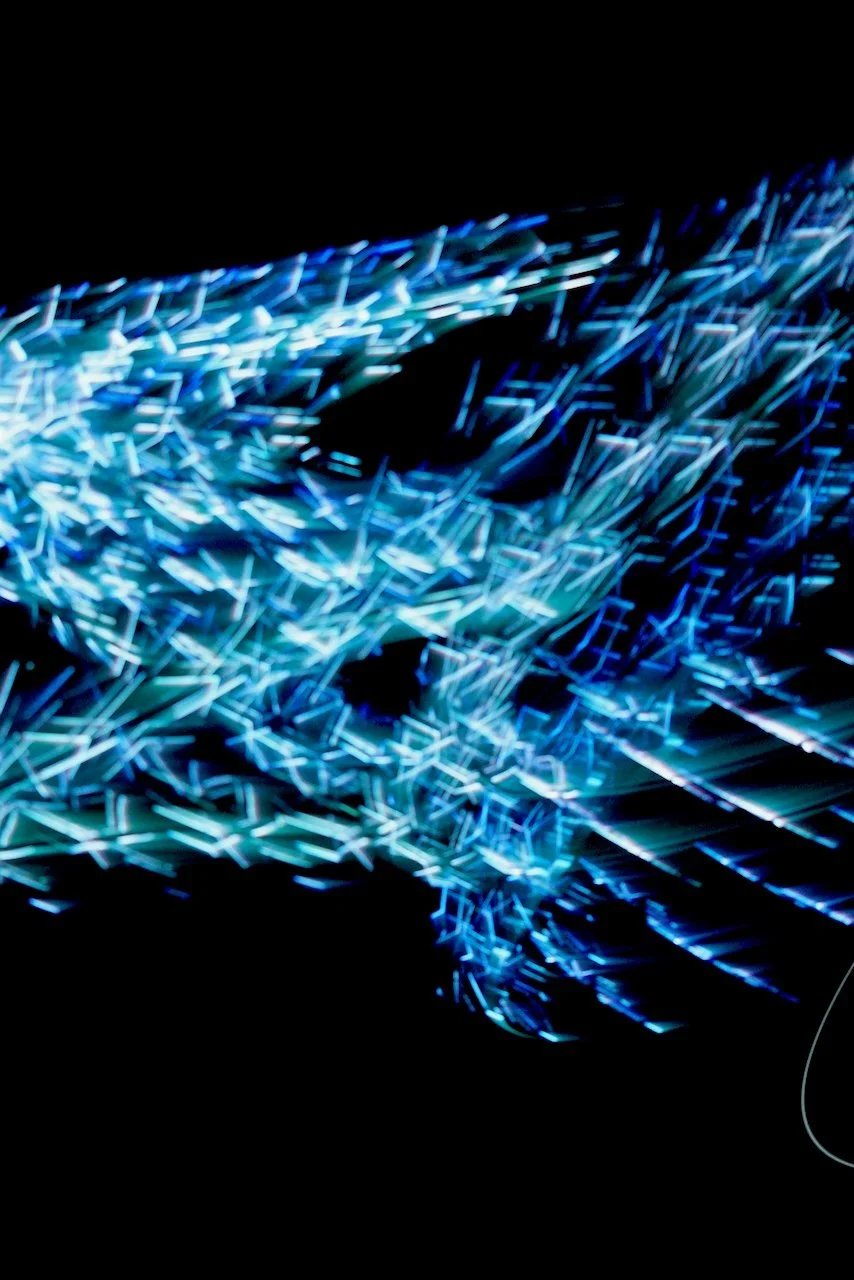  Movement 2024:386 (2024) C-print on wood panel, 60"x40" 