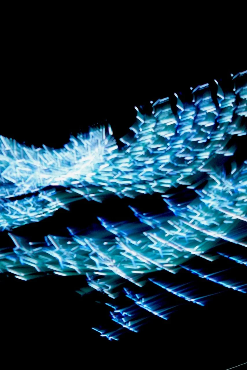  Movement 2024:387 (2024) C-print on wood panel, 60"x40" 