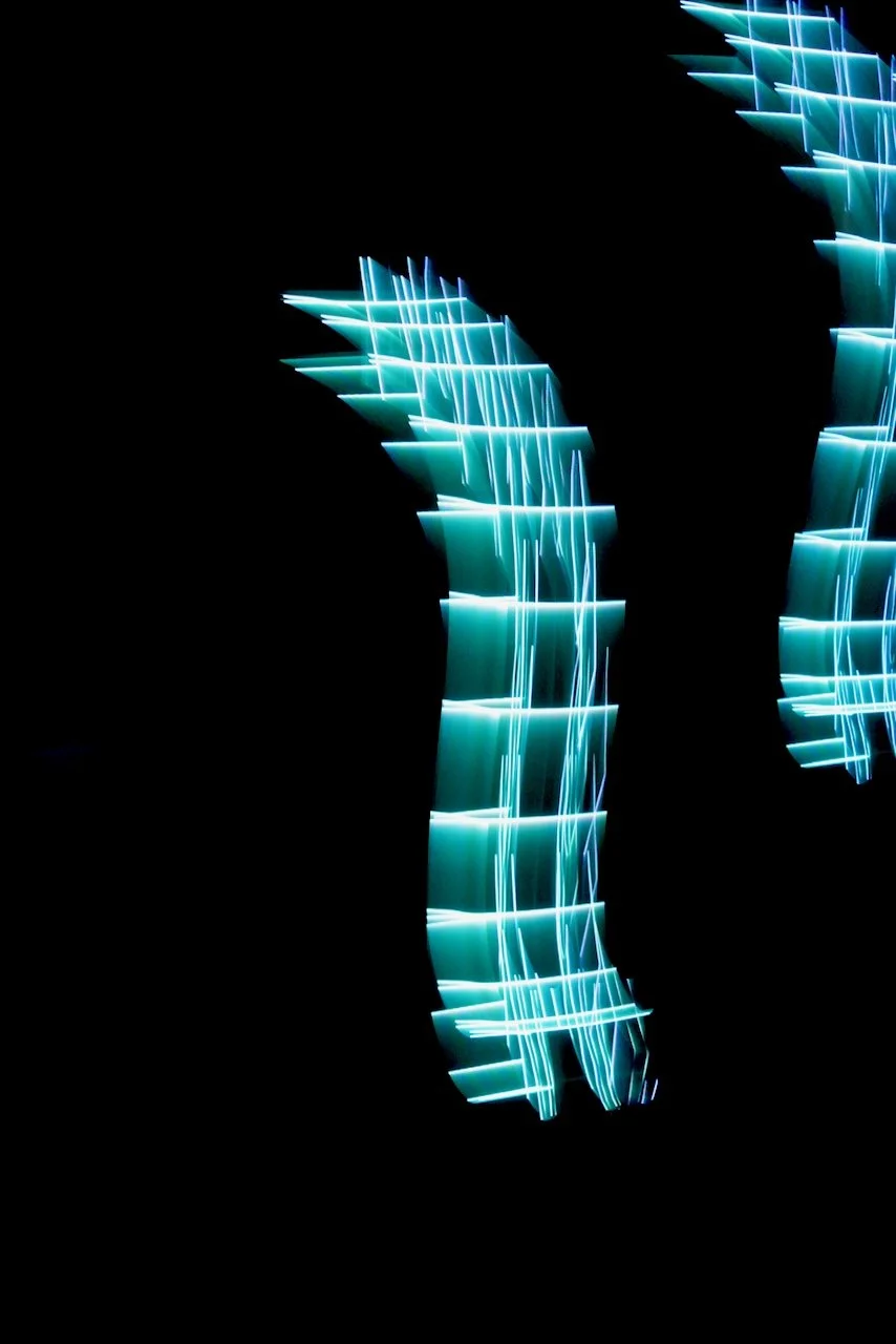  Movement 2024:390 (2024) C-print on wood panel, 60"x40" 