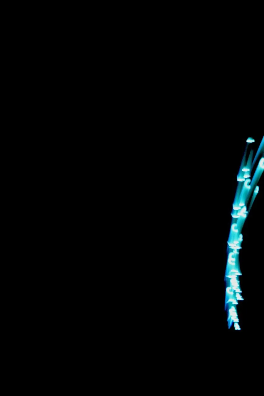  Movement 2024:391 (2024) C-print on wood panel, 60"x40" 