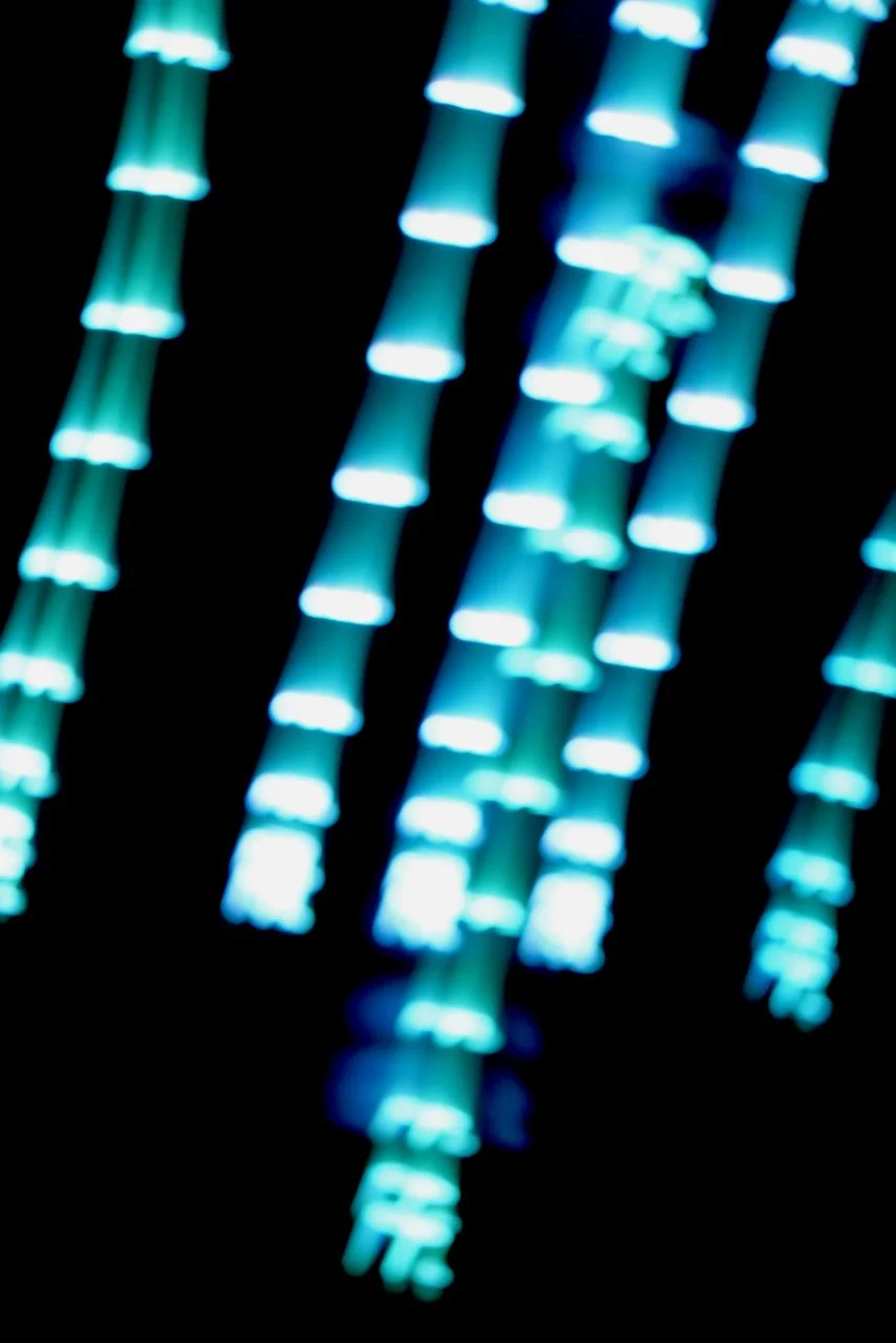  Movement 2024:393 (2024) C-print on wood panel, 60"x40" 