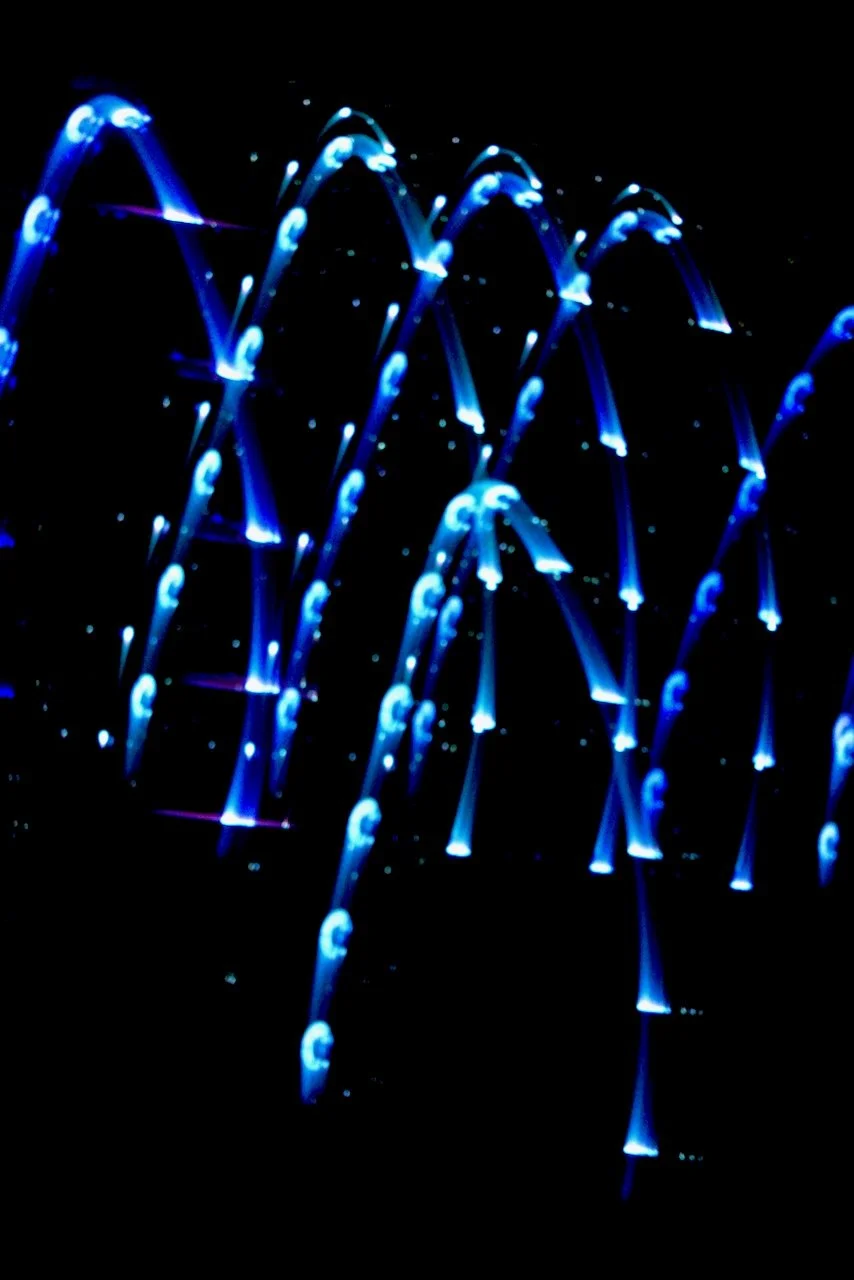  Movement 2024:396 (2024) C-print on wood panel, 60"x40" 