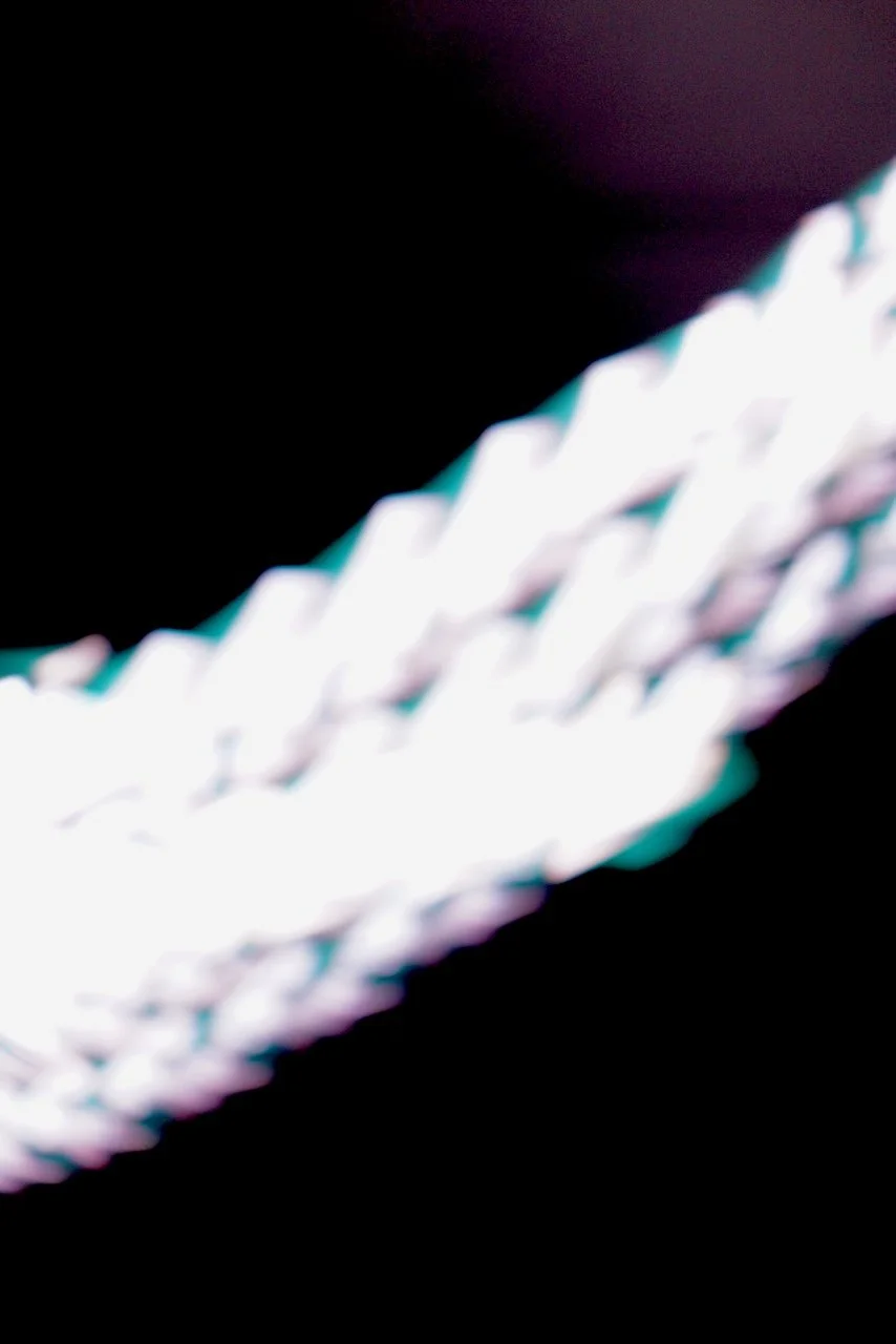  Movement 2024:414 (2024) C-print on wood panel, 60"x40" 