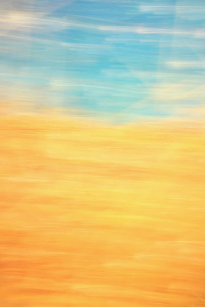  Movement 2024:420 (2024) C-print on wood panel, 60"x40" 