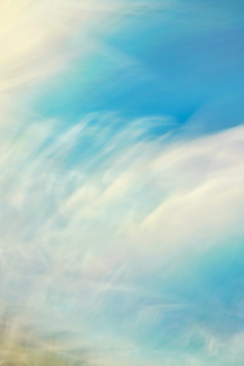  Movement 2024:422 (2024) C-print on wood panel, 60"x40" 