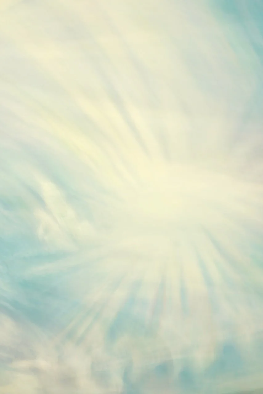  Movement 2024:423 (2024) C-print on wood panel, 60"x40" 