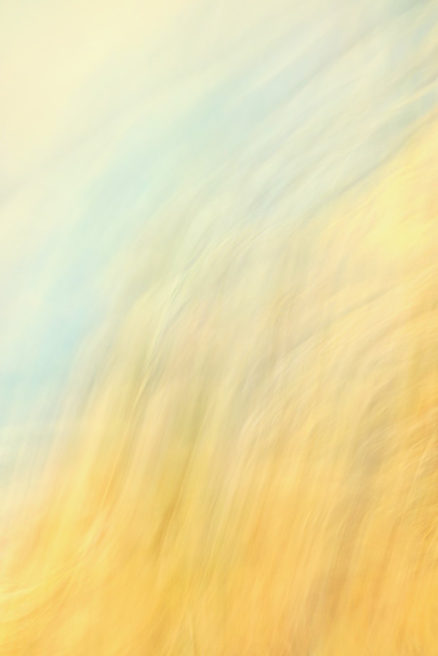  Movement 2024:424 (2024) C-print on wood panel, 60"x40" 