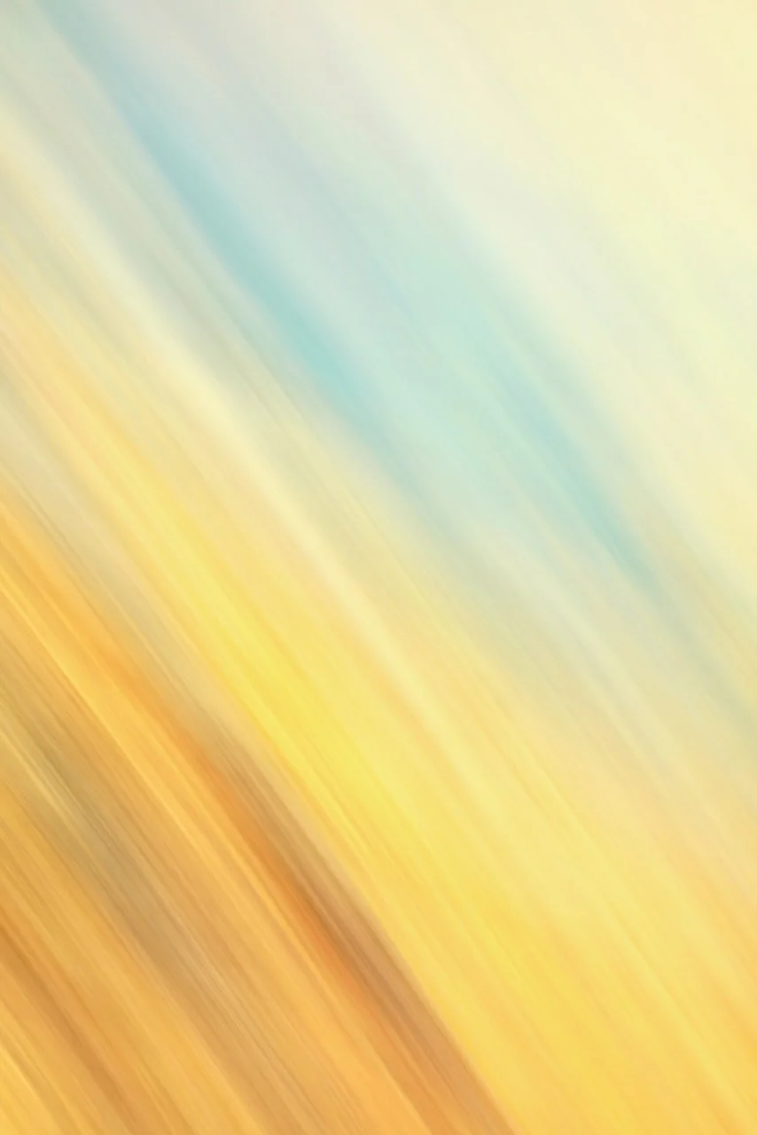  Movement 2024:425 (2024) C-print on wood panel, 60"x40" 