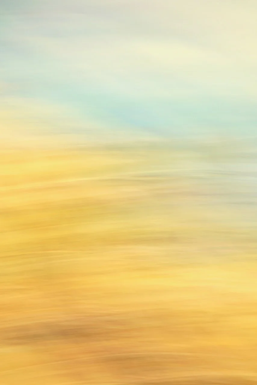  Movement 2024:426 (2024) C-print on wood panel, 60"x40" 