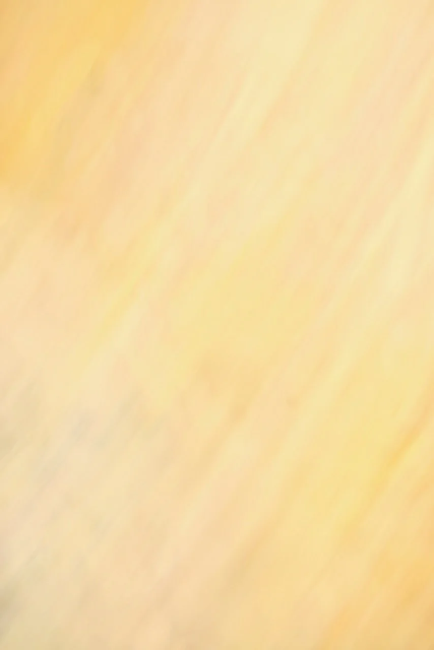  Movement 2024:427 (2024) C-print on wood panel, 60"x40" 