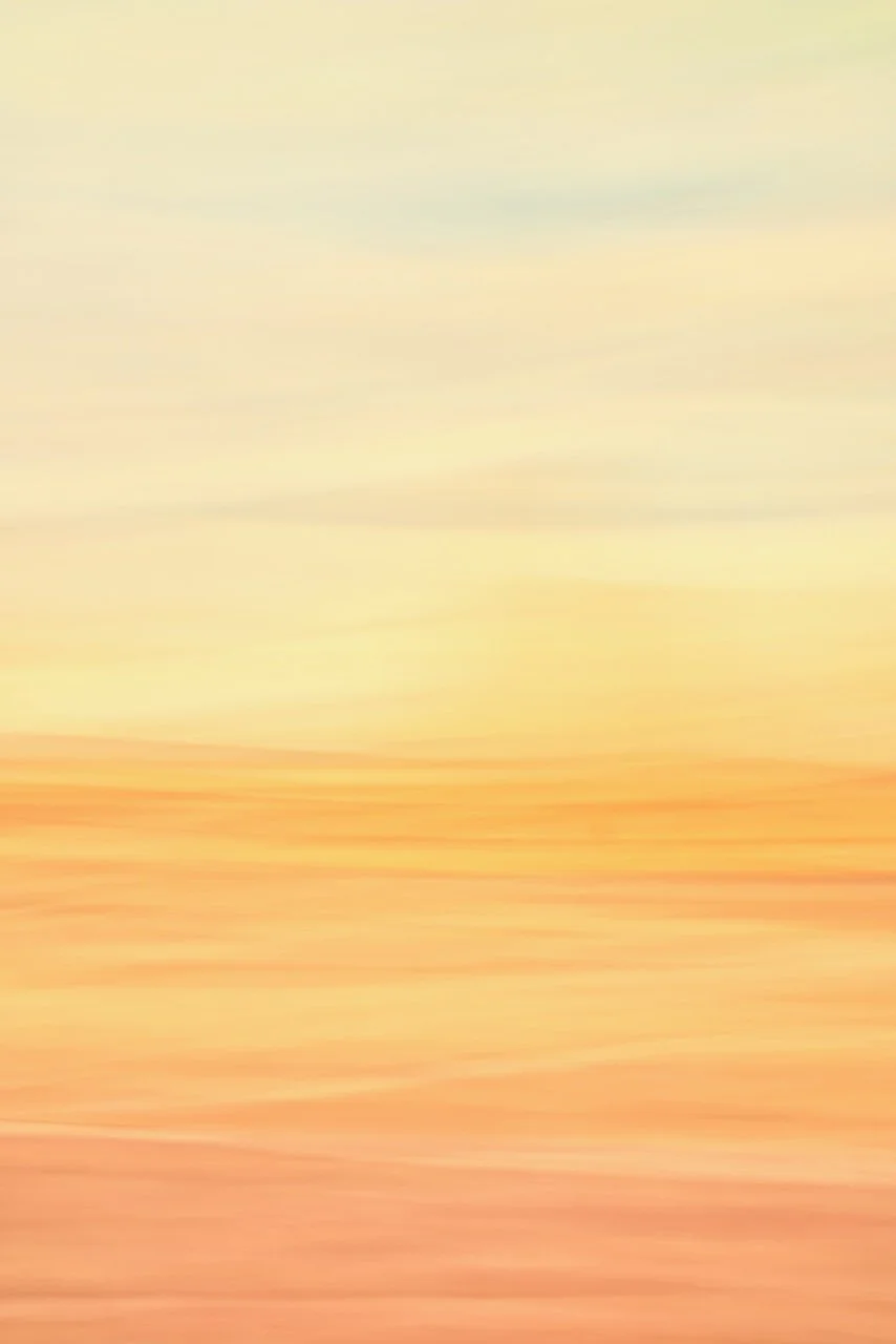  Movement 2024:428 (2024) C-print on wood panel, 60"x40" 