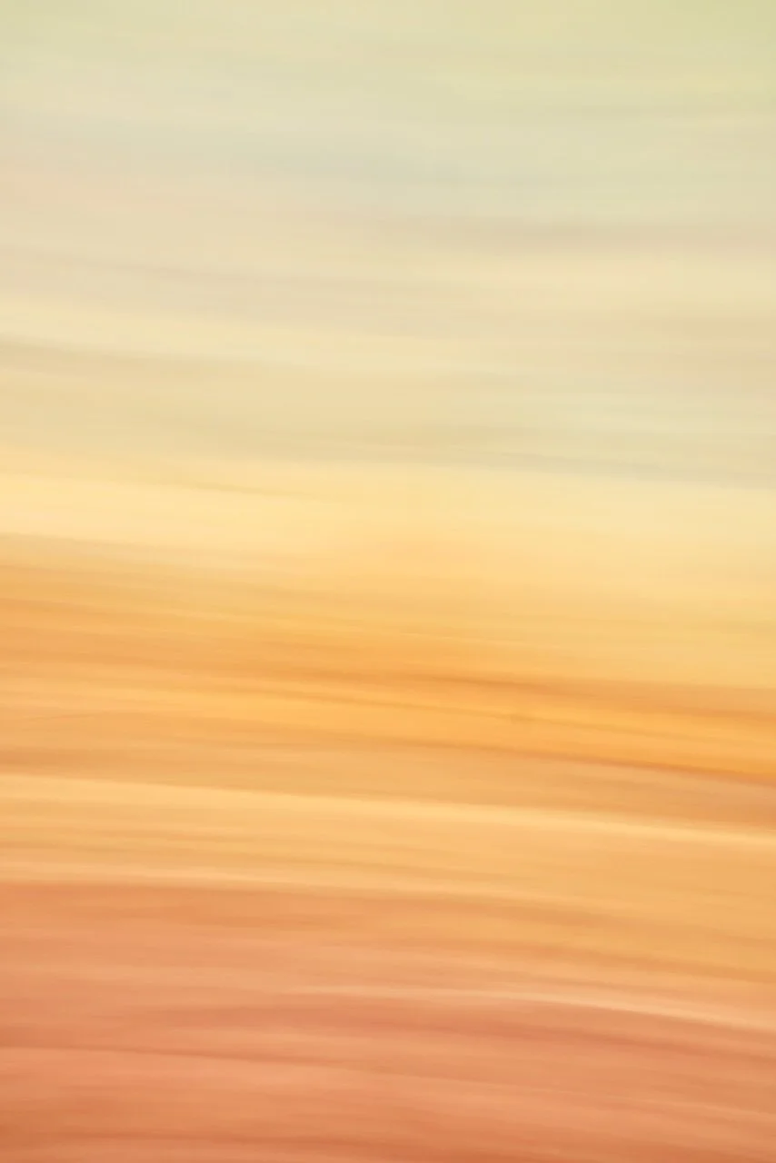  Movement 2024:429 (2024) C-print on wood panel, 60"x40" 