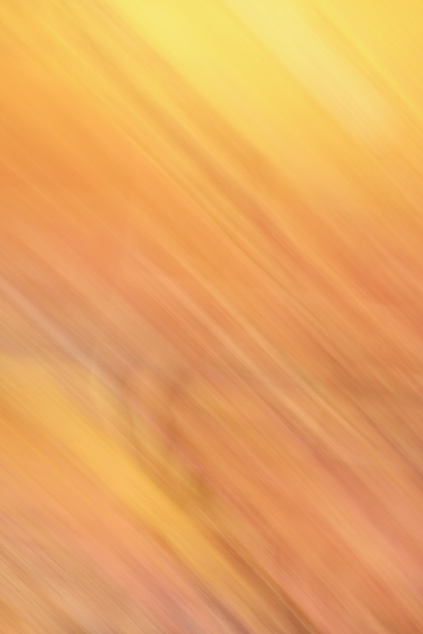  Movement 2024:430 (2024) C-print on wood panel, 60"x40" 