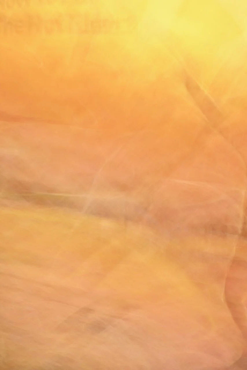  Movement 2024:431 (2024) C-print on wood panel, 60"x40" 