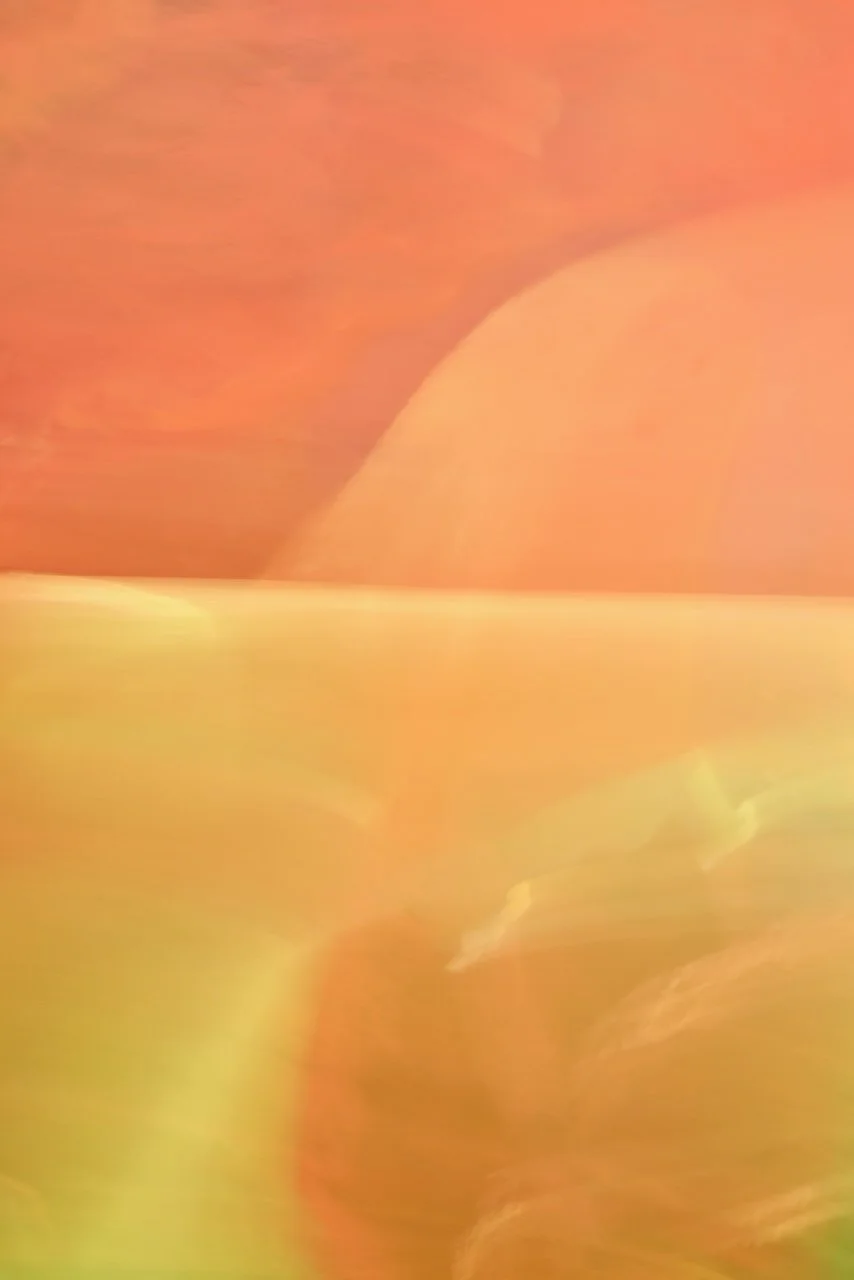  Movement 2024:432 (2024) C-print on wood panel, 60"x40" 