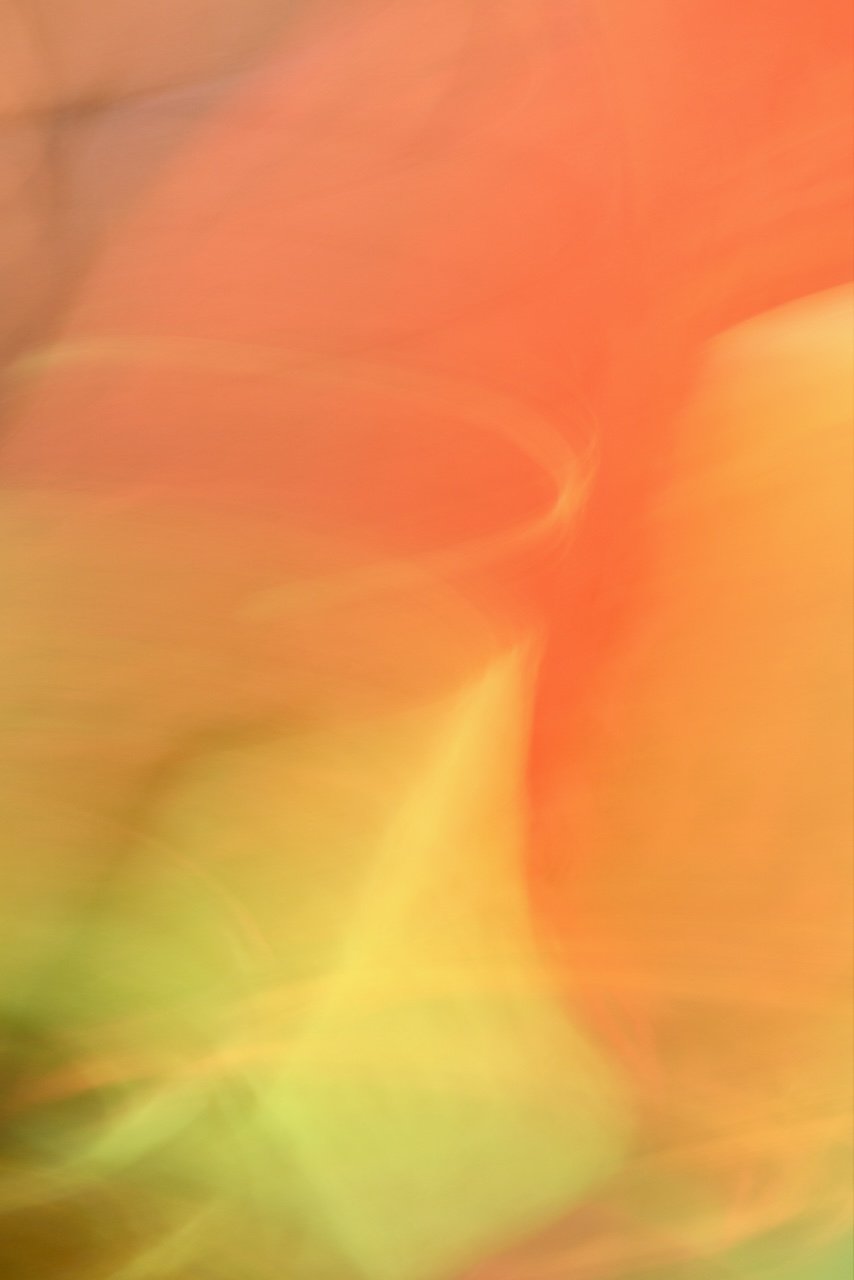  Movement 2024:433 (2024) C-print on wood panel, 60"x40" 