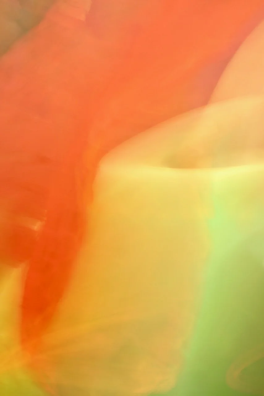  Movement 2024:434 (2024) C-print on wood panel, 60"x40" 