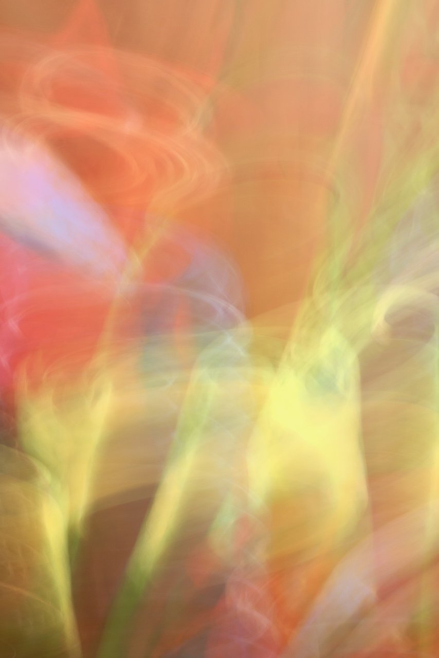  Movement 2024:436 (2024) C-print on wood panel, 60"x40" 