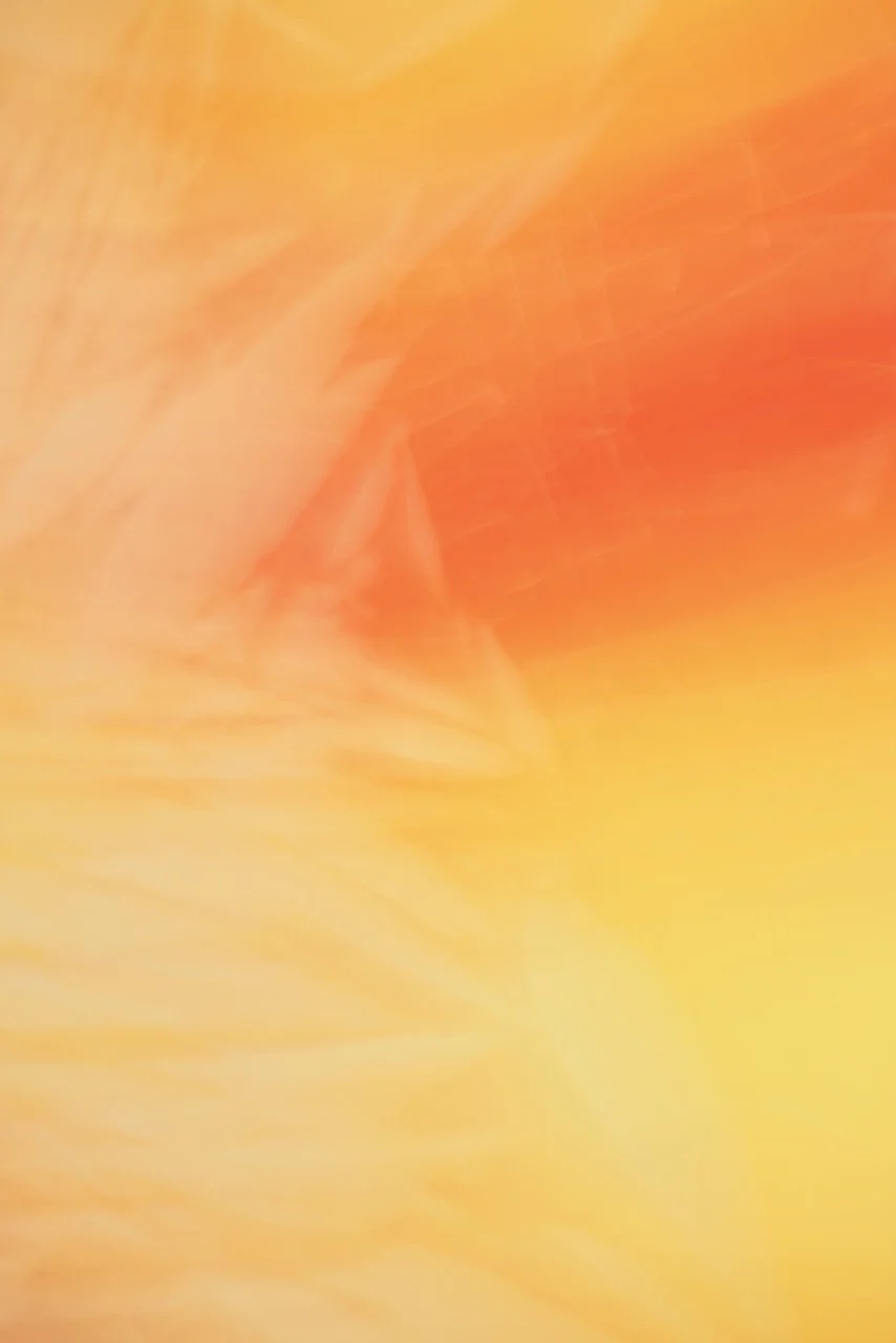  Movement 2024:439 (2024) C-print on wood panel, 60"x40" 