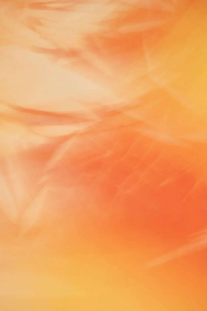  Movement 2024:440 (2024) C-print on wood panel, 60"x40" 