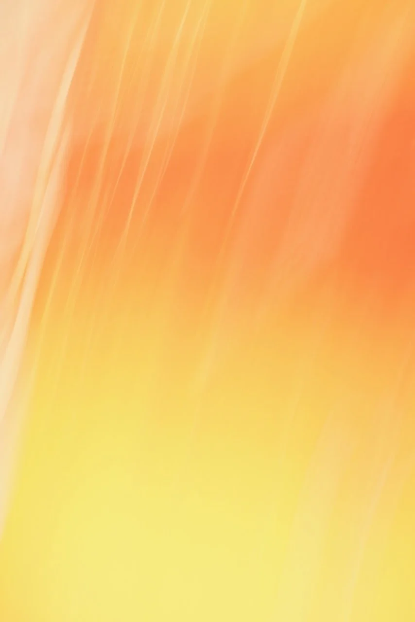  Movement 2024:442 (2024) C-print on wood panel, 60"x40" 