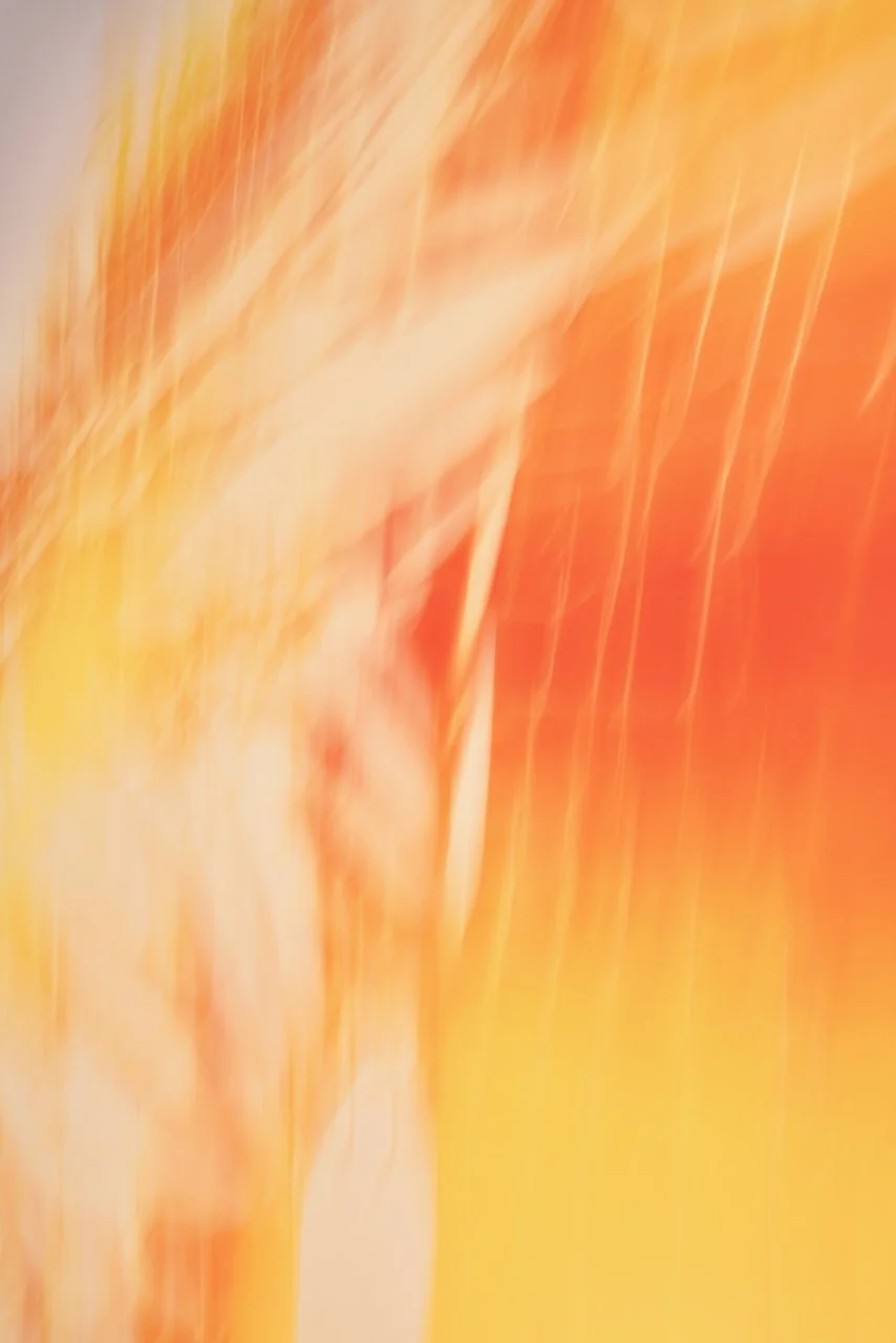  Movement 2024:443 (2024) C-print on wood panel, 60"x40" 