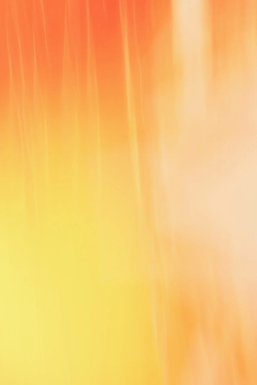  Movement 2024:444 (2024) C-print on wood panel, 60"x40" 