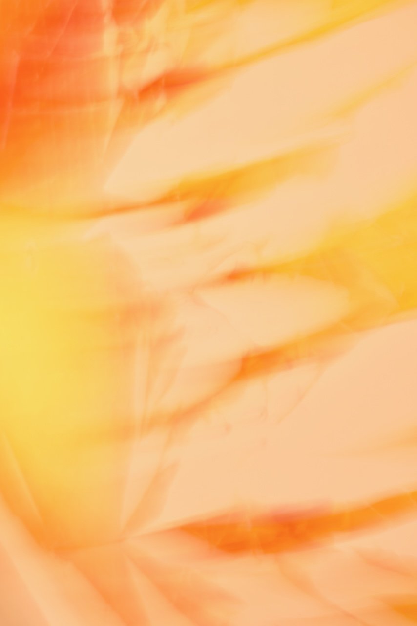  Movement 2024:445 (2024) C-print on wood panel, 60"x40" 