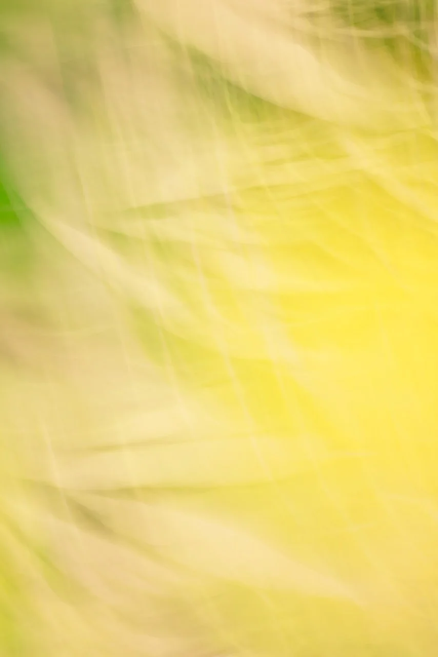  Movement 2024:446 (2024) C-print on wood panel, 60"x40" 