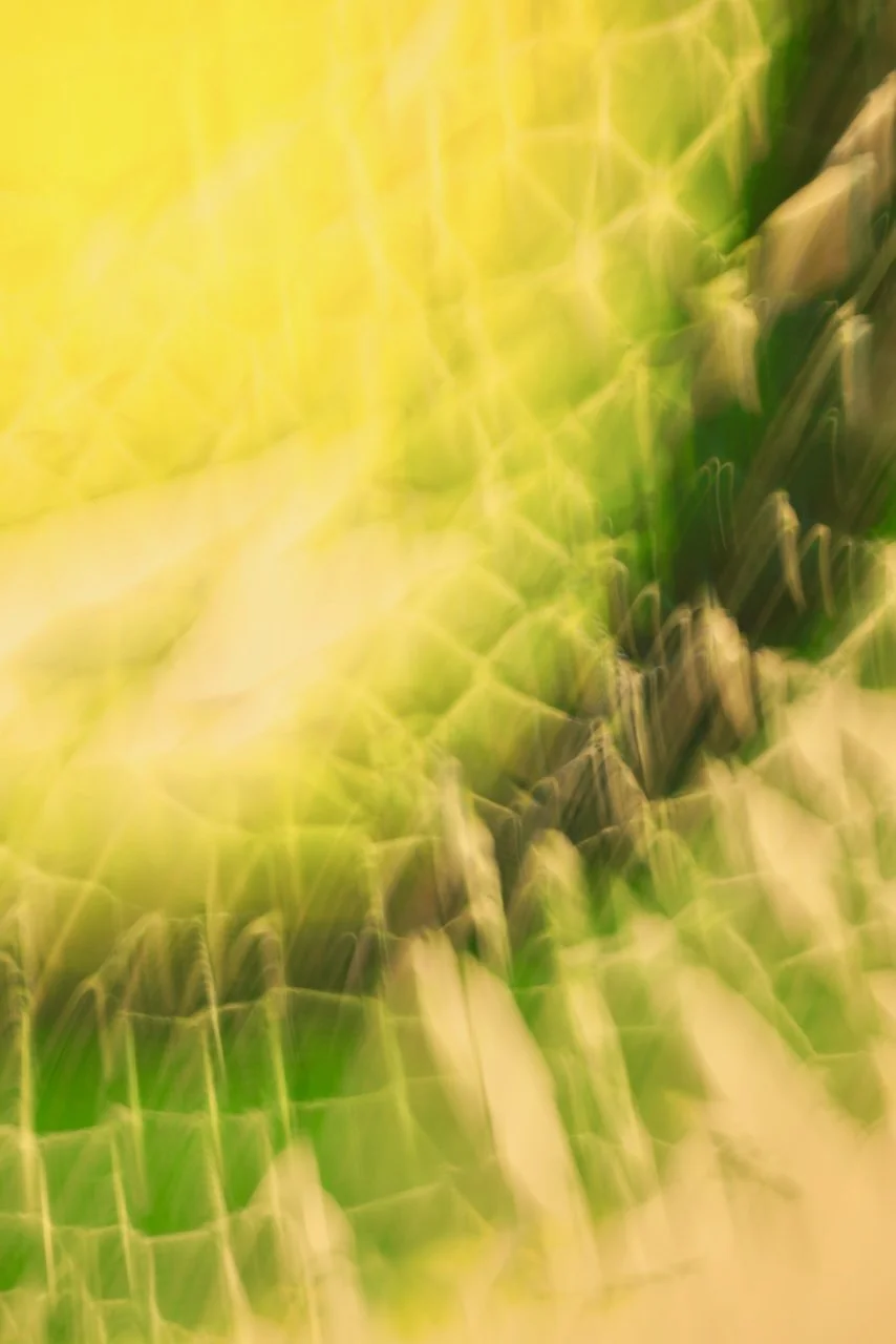  Movement 2024:447 (2024) C-print on wood panel, 60"x40" 