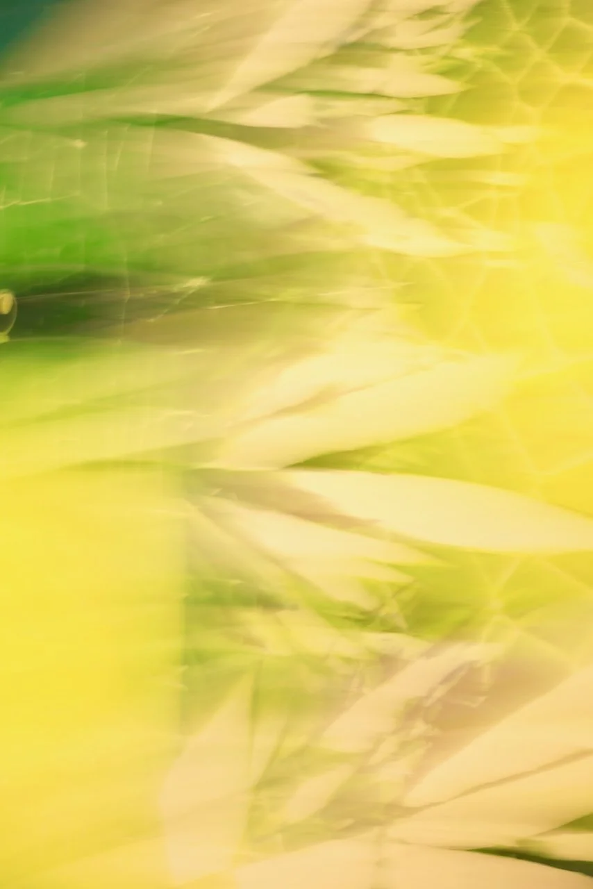  Movement 2024:448 (2024) C-print on wood panel, 60"x40" 