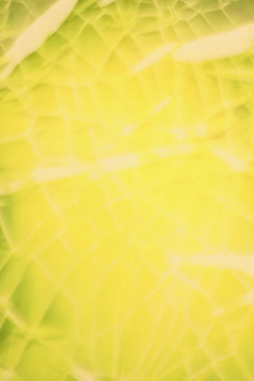  Movement 2024:449 (2024) C-print on wood panel, 60"x40" 