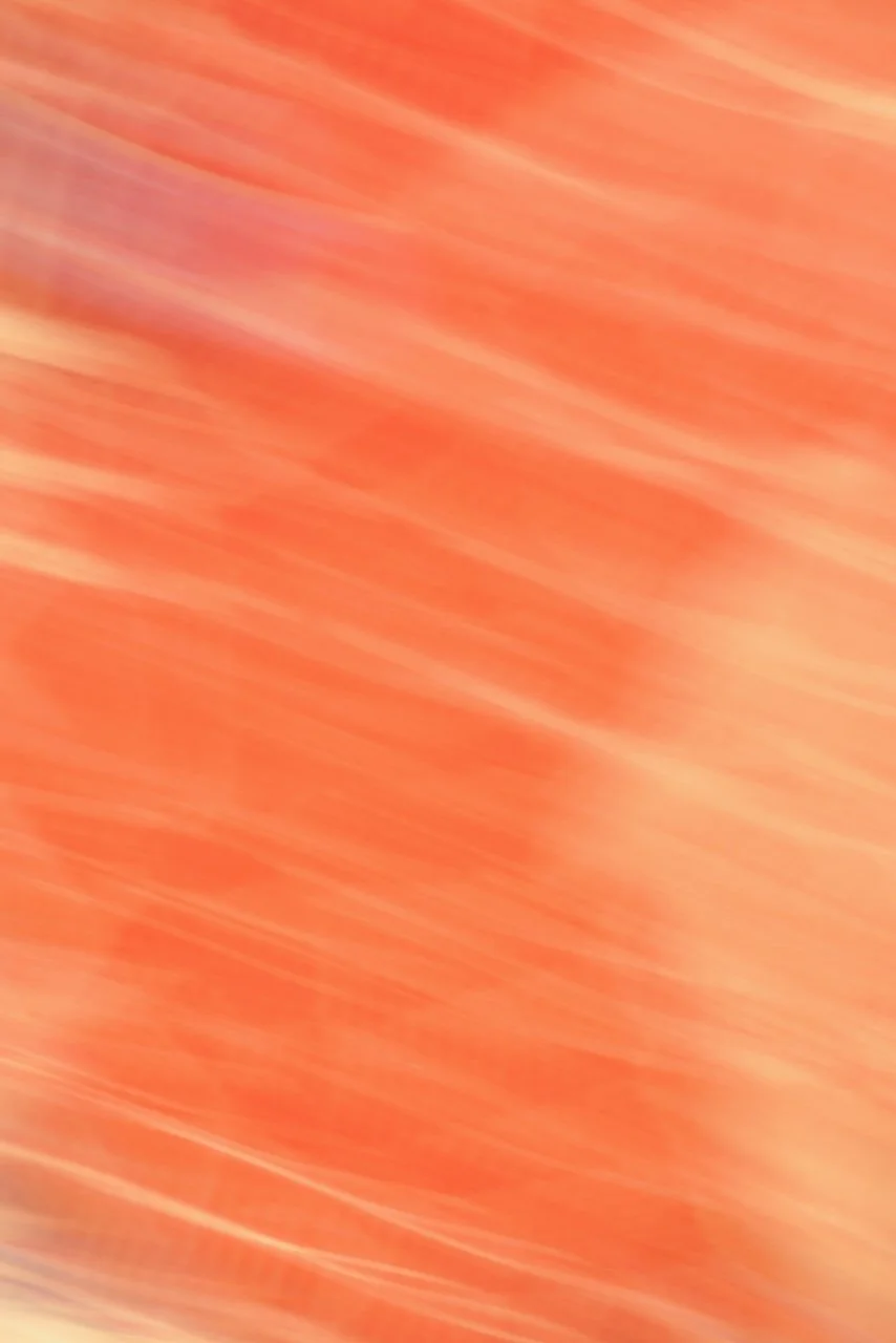  Movement 2024:451 (2024) C-print on wood panel, 60"x40" 