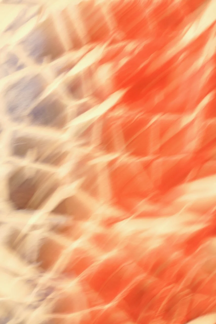  Movement 2024:452 (2024) C-print on wood panel, 60"x40" 