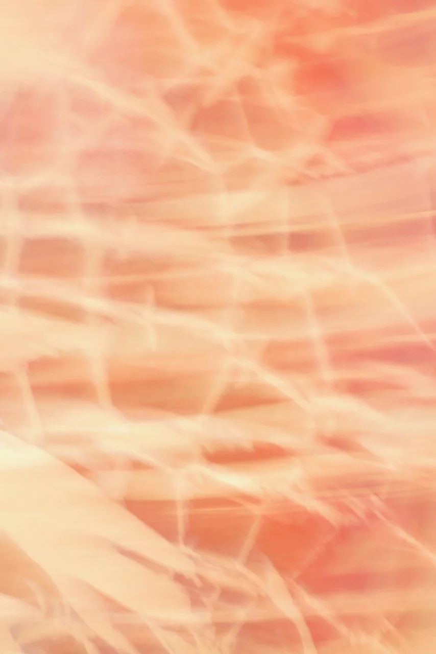  Movement 2024:453 (2024) C-print on wood panel, 60"x40" 