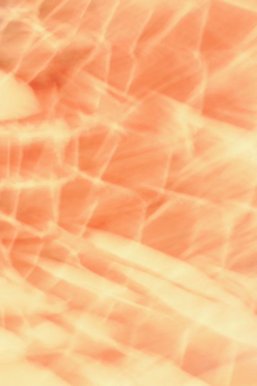  Movement 2024:455 (2024) C-print on wood panel, 60"x40" 